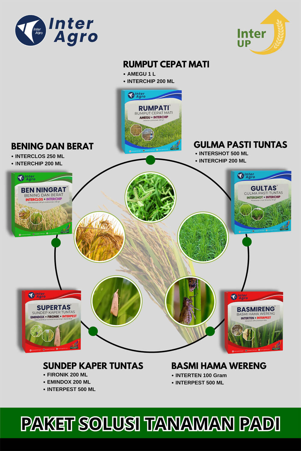 1. Rice Solution Cover