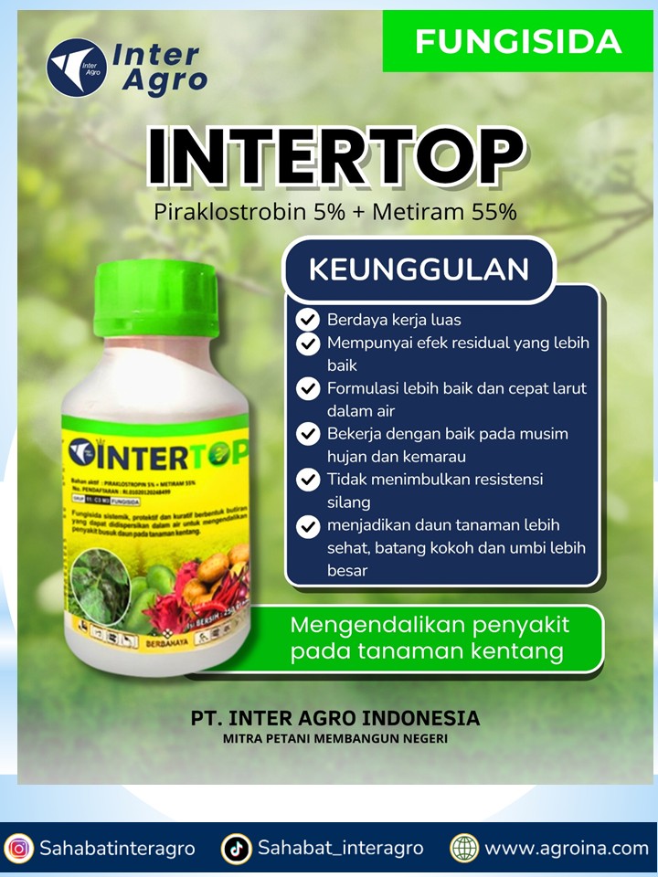 11. Intertop