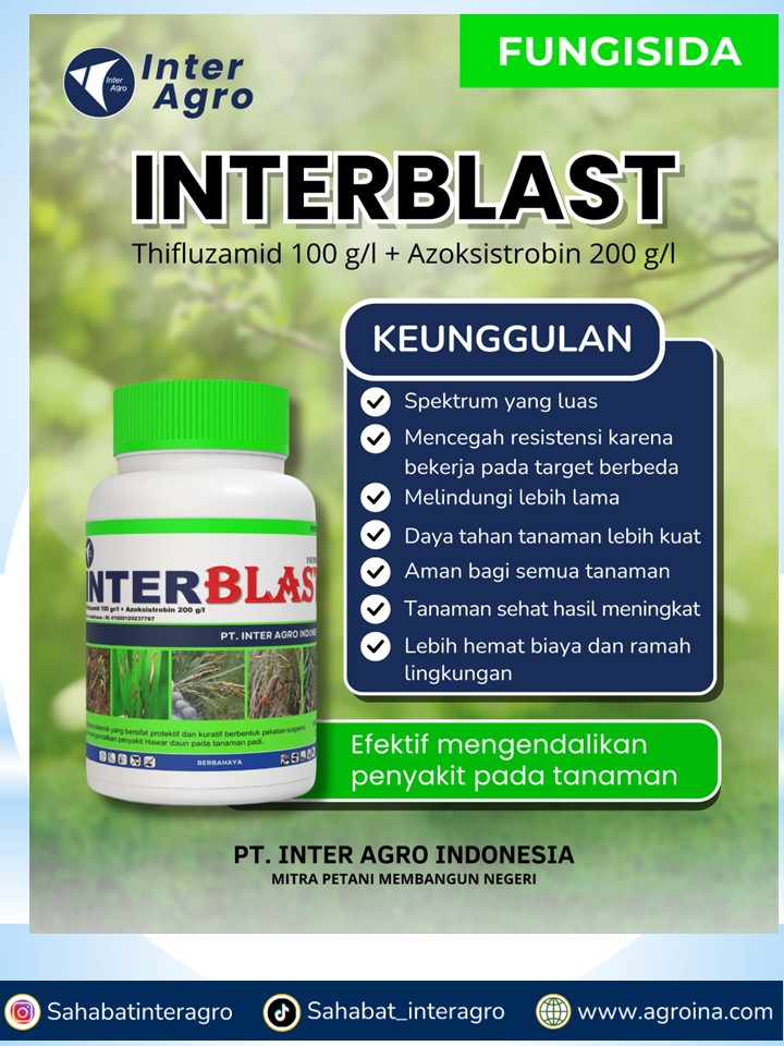 12. Interblast