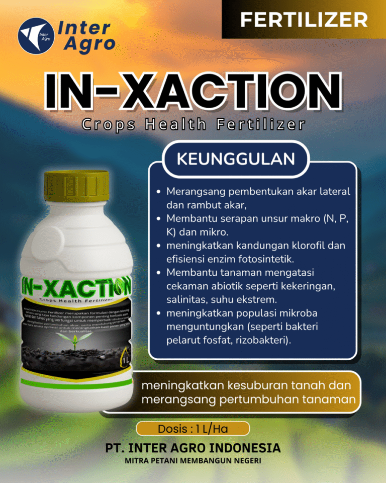 15. In Xaction