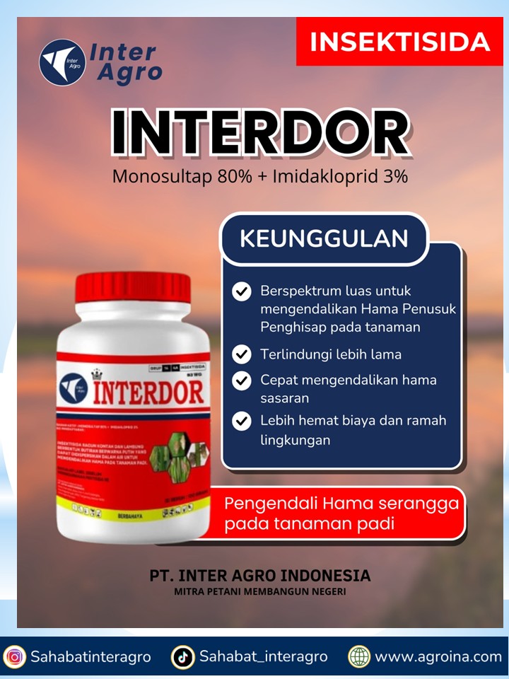 15. Interdor