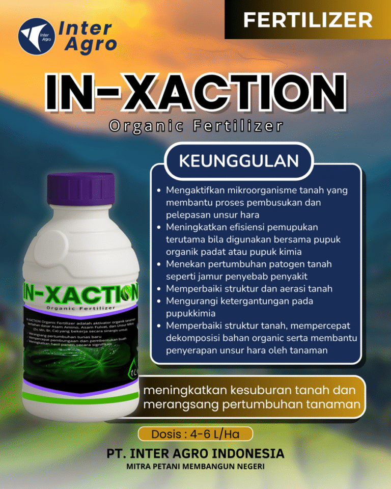 16. In Xaction