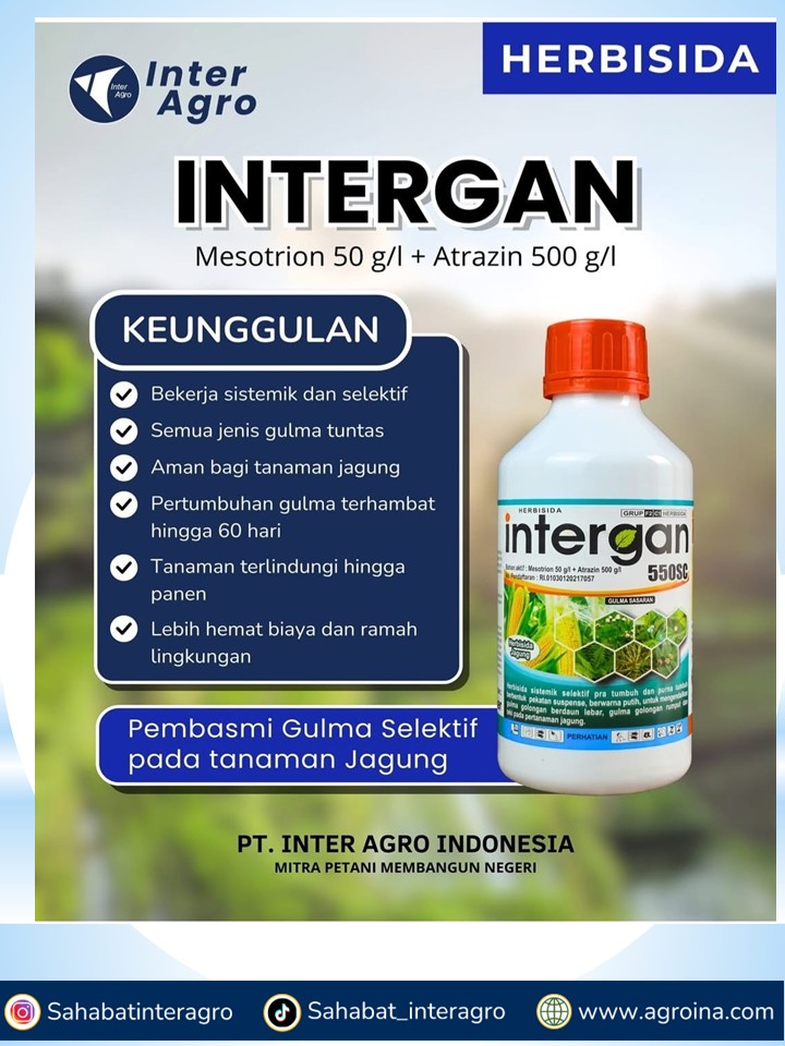 2. Intergan