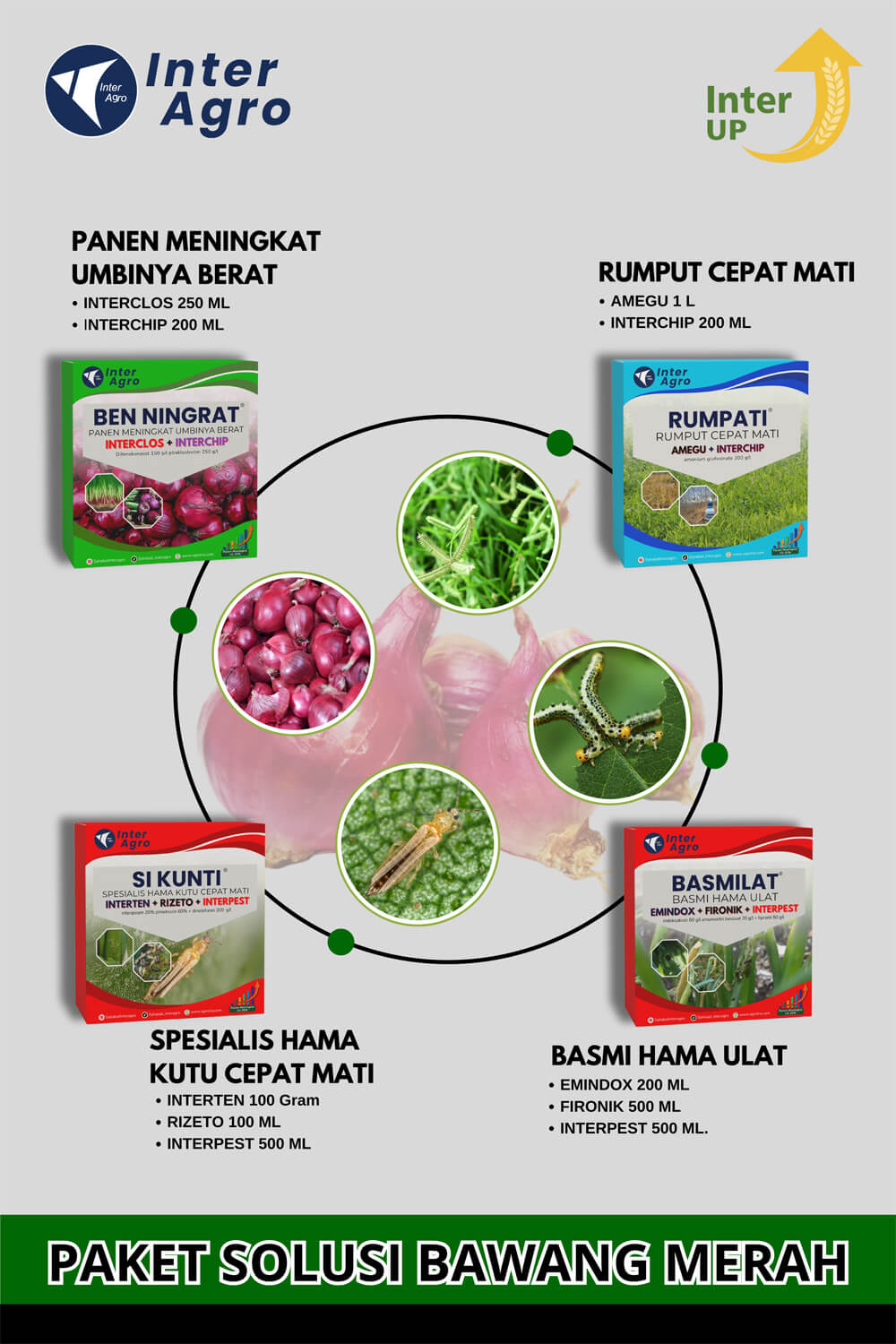 2. Shallot Solution Cover