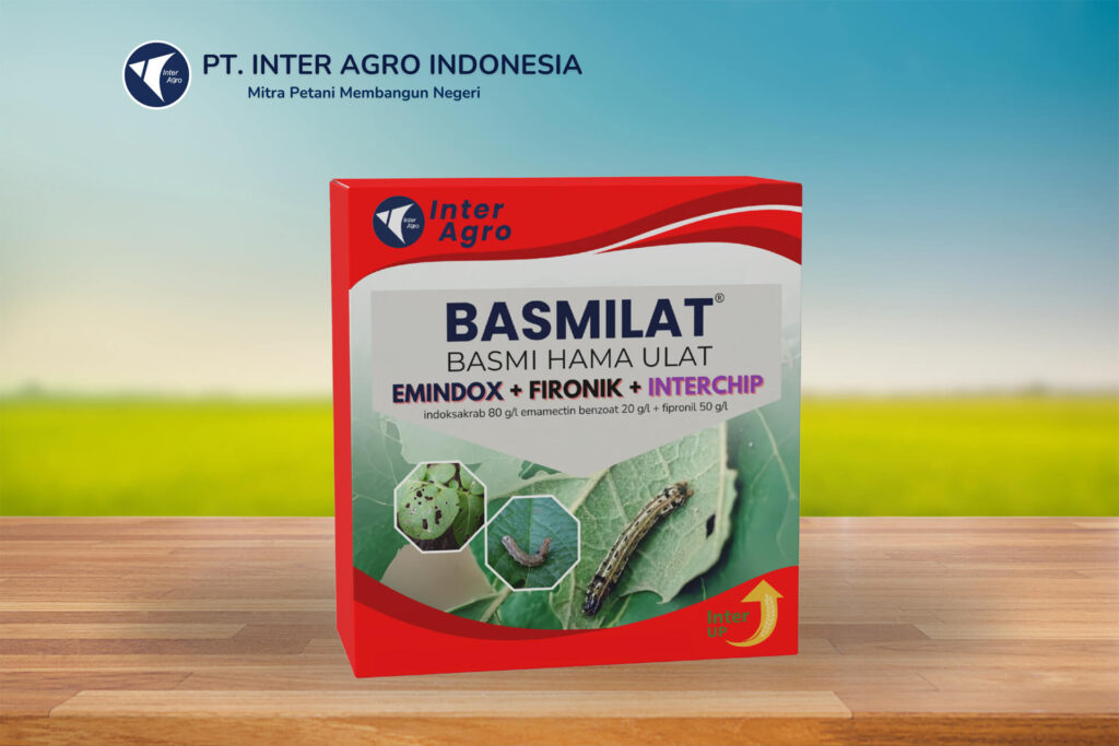 2.0二级封面 Basmilat