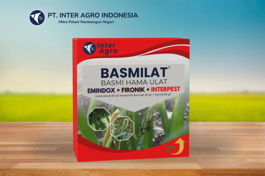 2.0二级封面 Basmilat