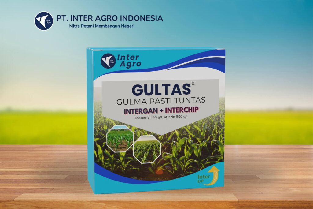 2.0二级封面 副本