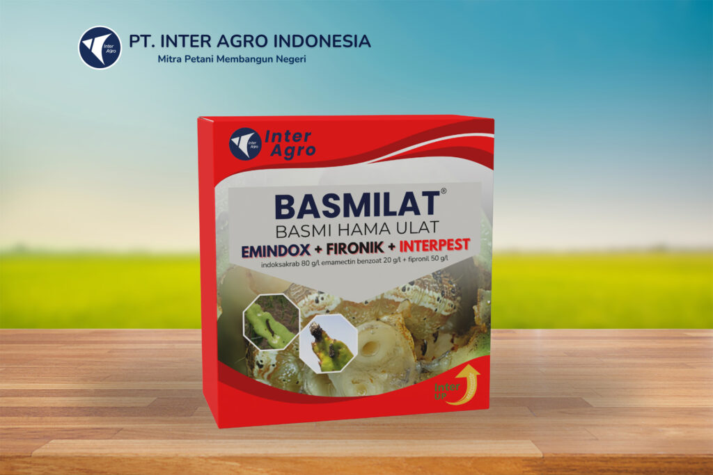 2.0二级封面 副本