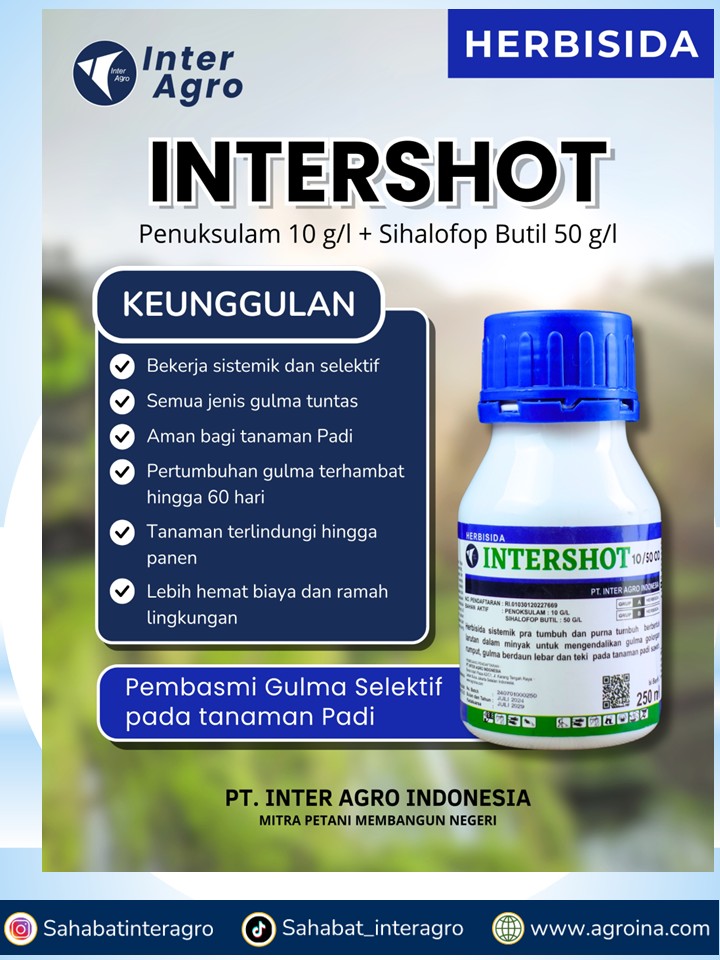 3. Intershot