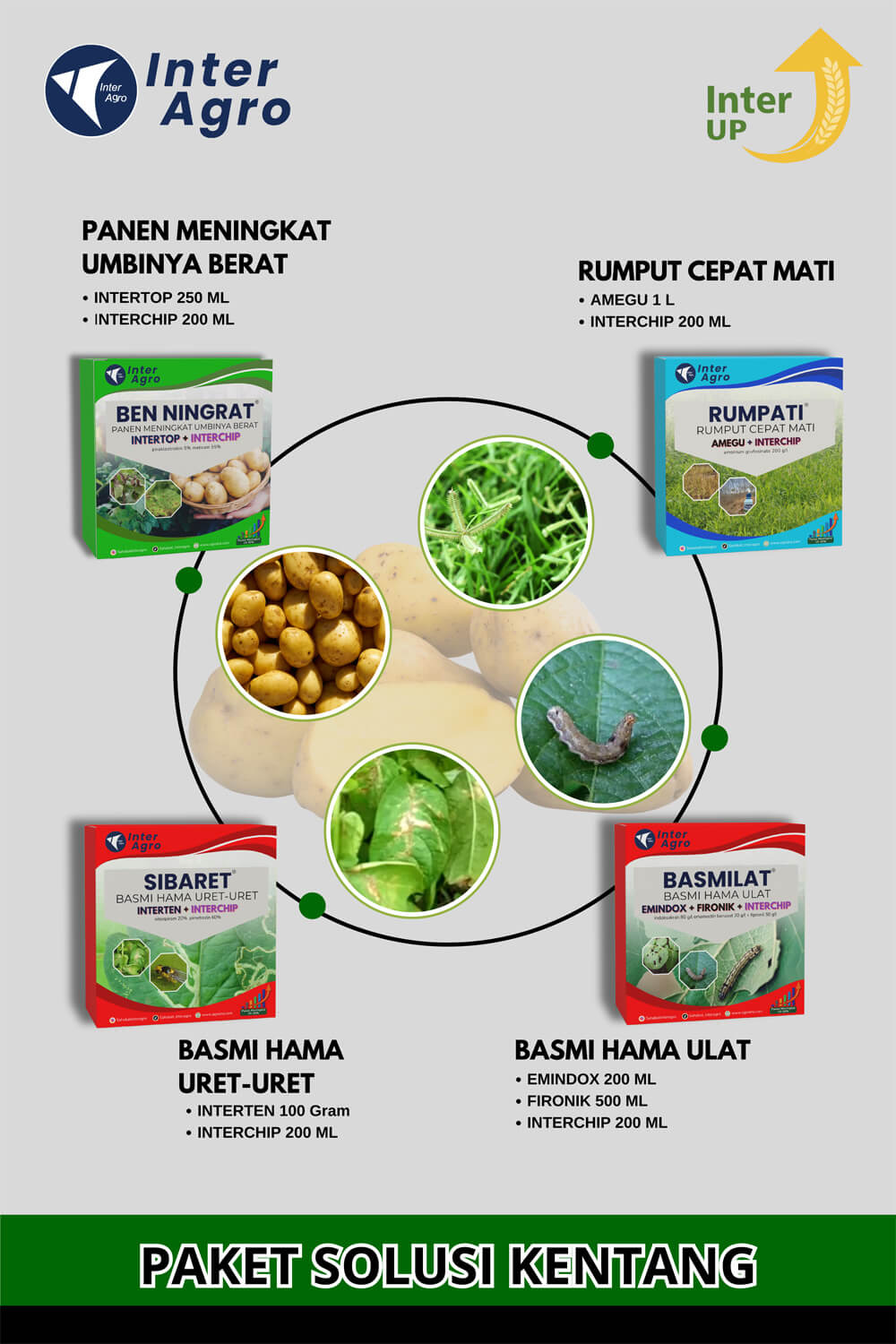 3. Potato Solution Cover