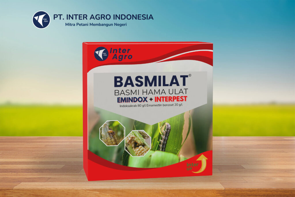 3.0二级封面 副本