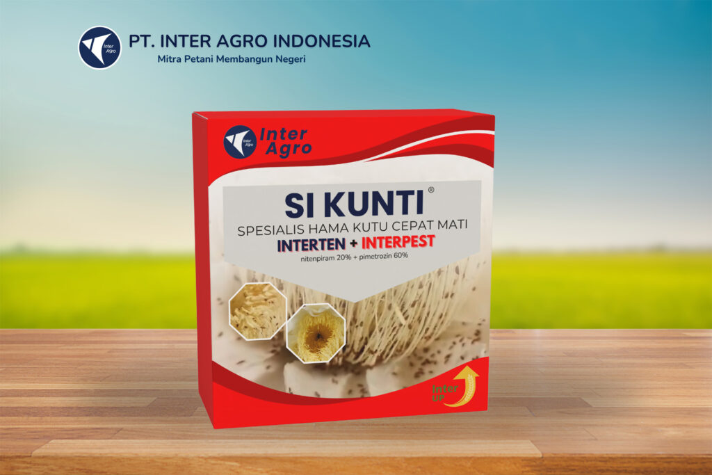 3.0二级封面 副本