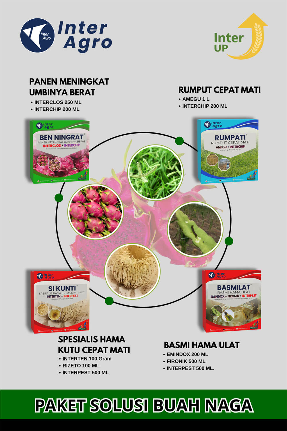 4. Dragon Fruit Solution Cover