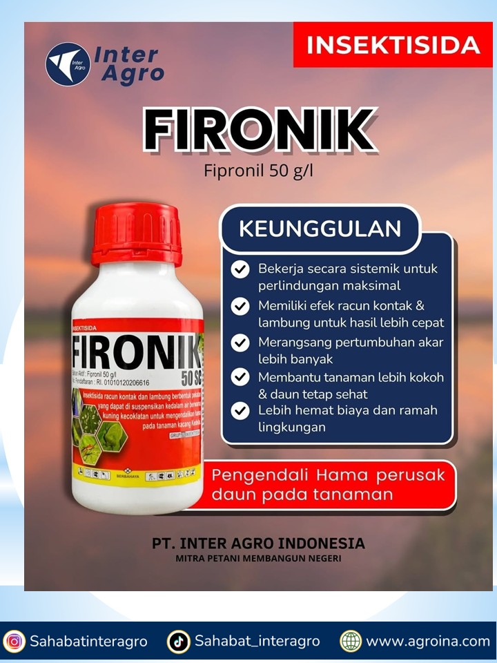 4. Fironik