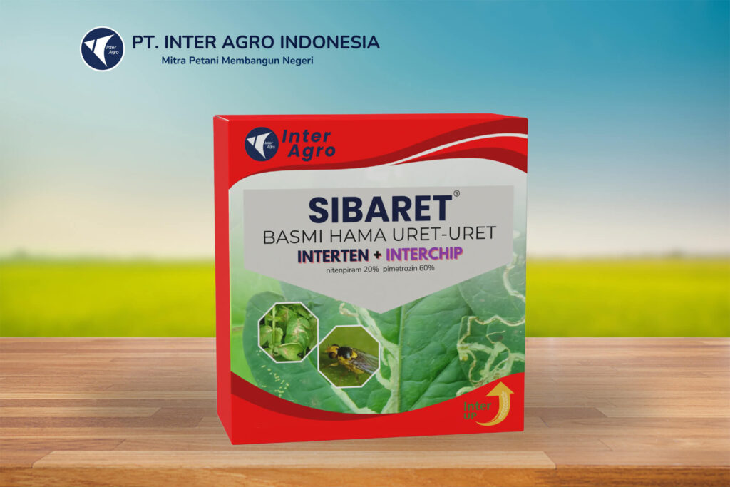 4.0二级封面 Sibaret