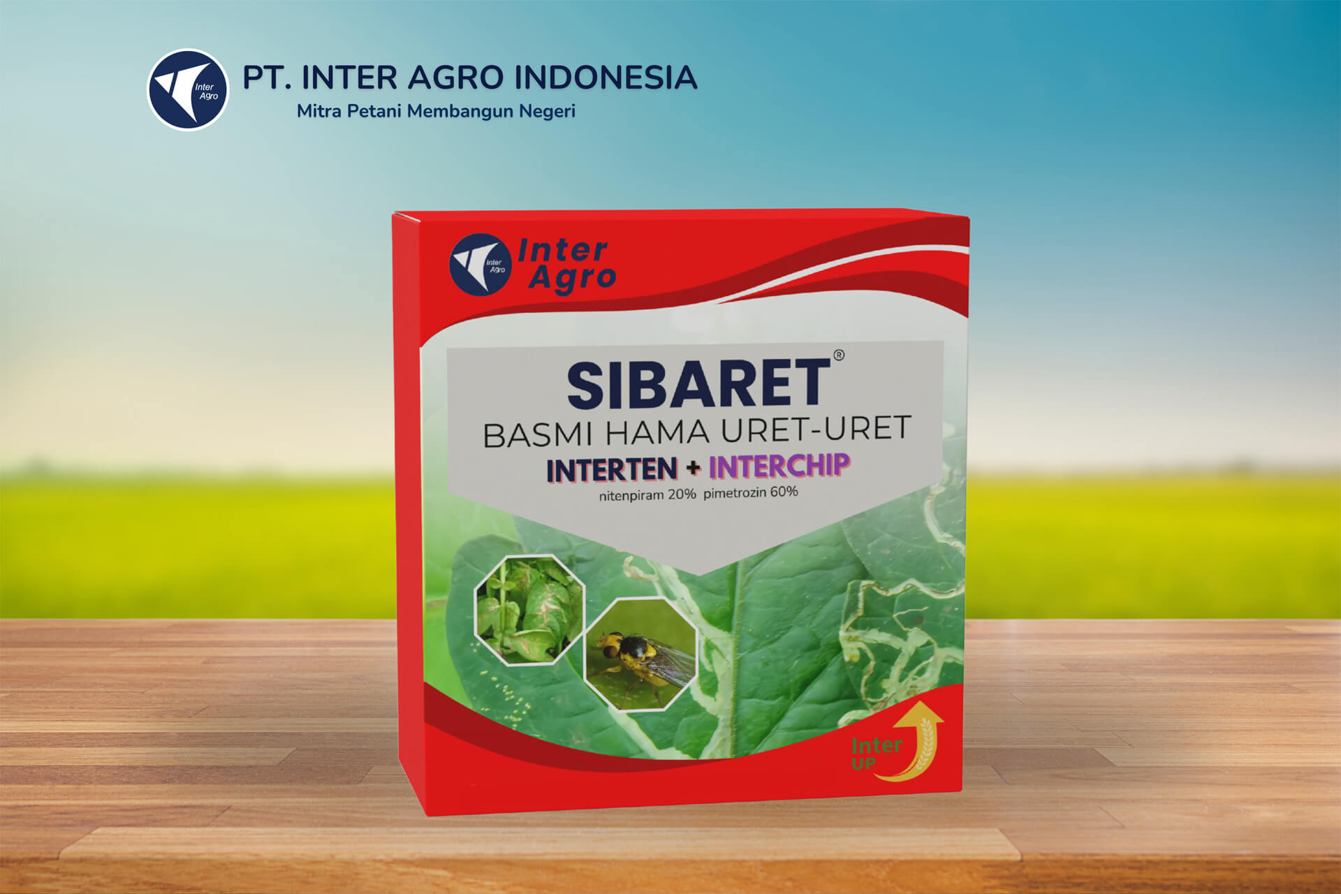 4.0二级封面 Sibaret