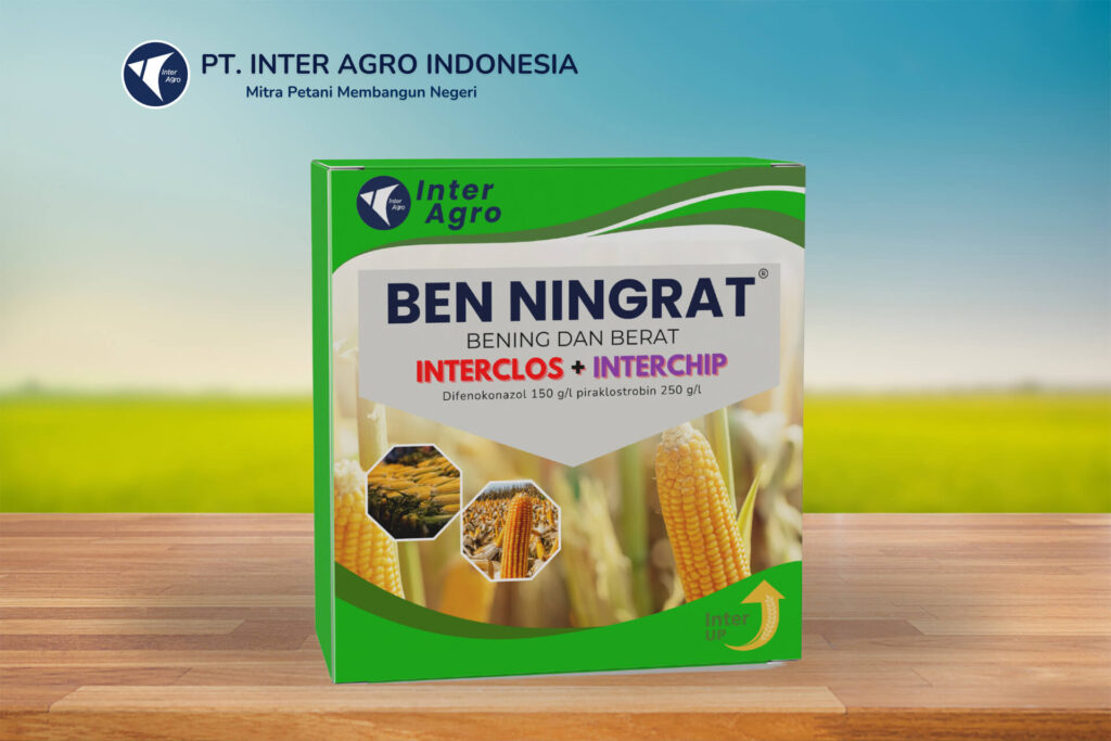 4.0二级封面 副本