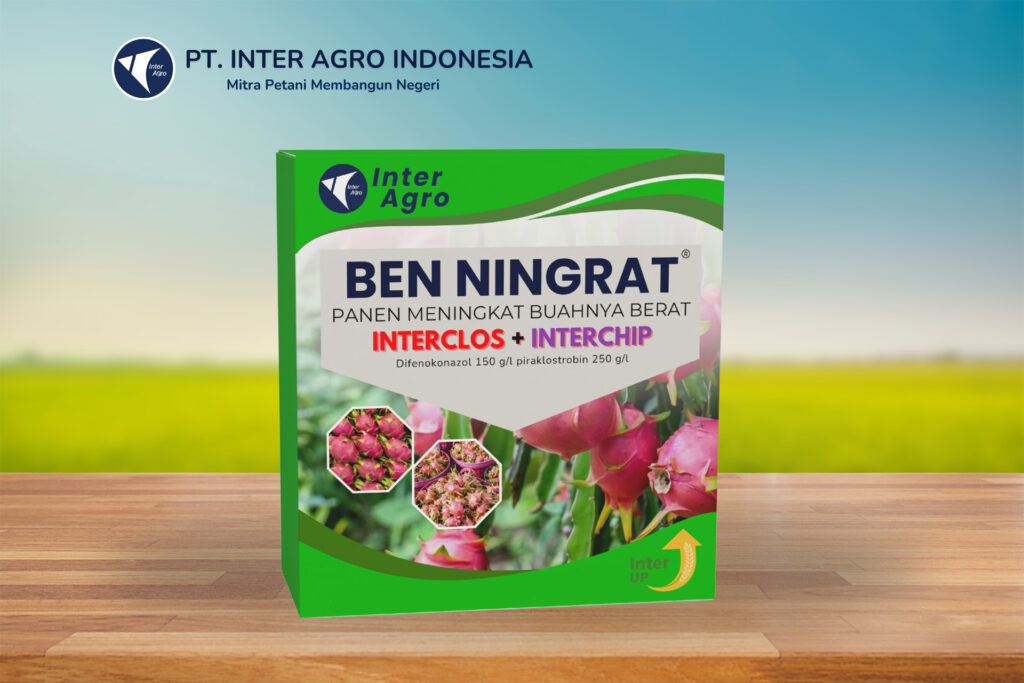 4.0二级封面 副本