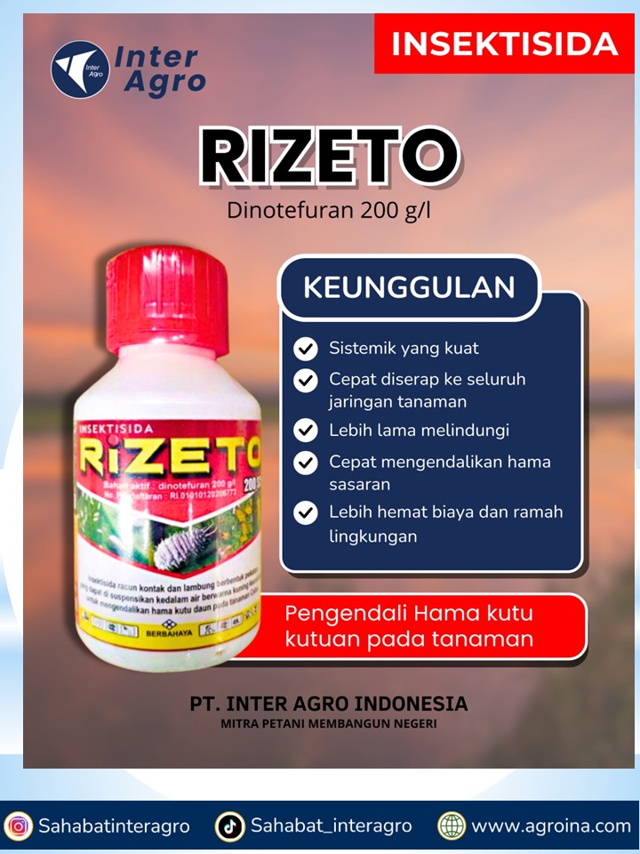 5. Rizeto