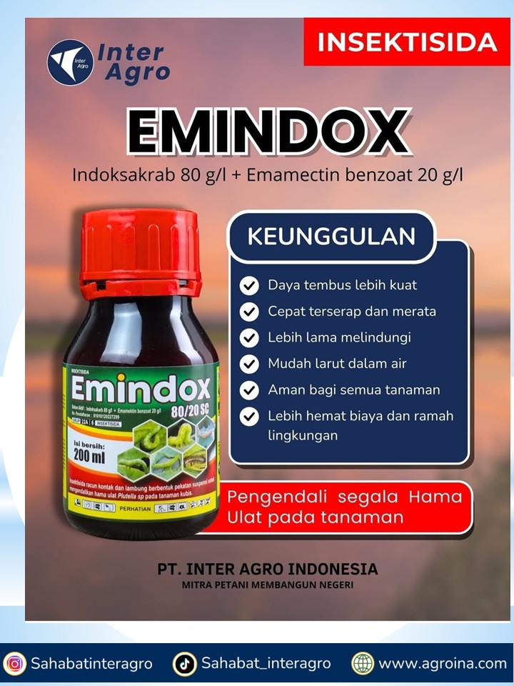 6. Emindox