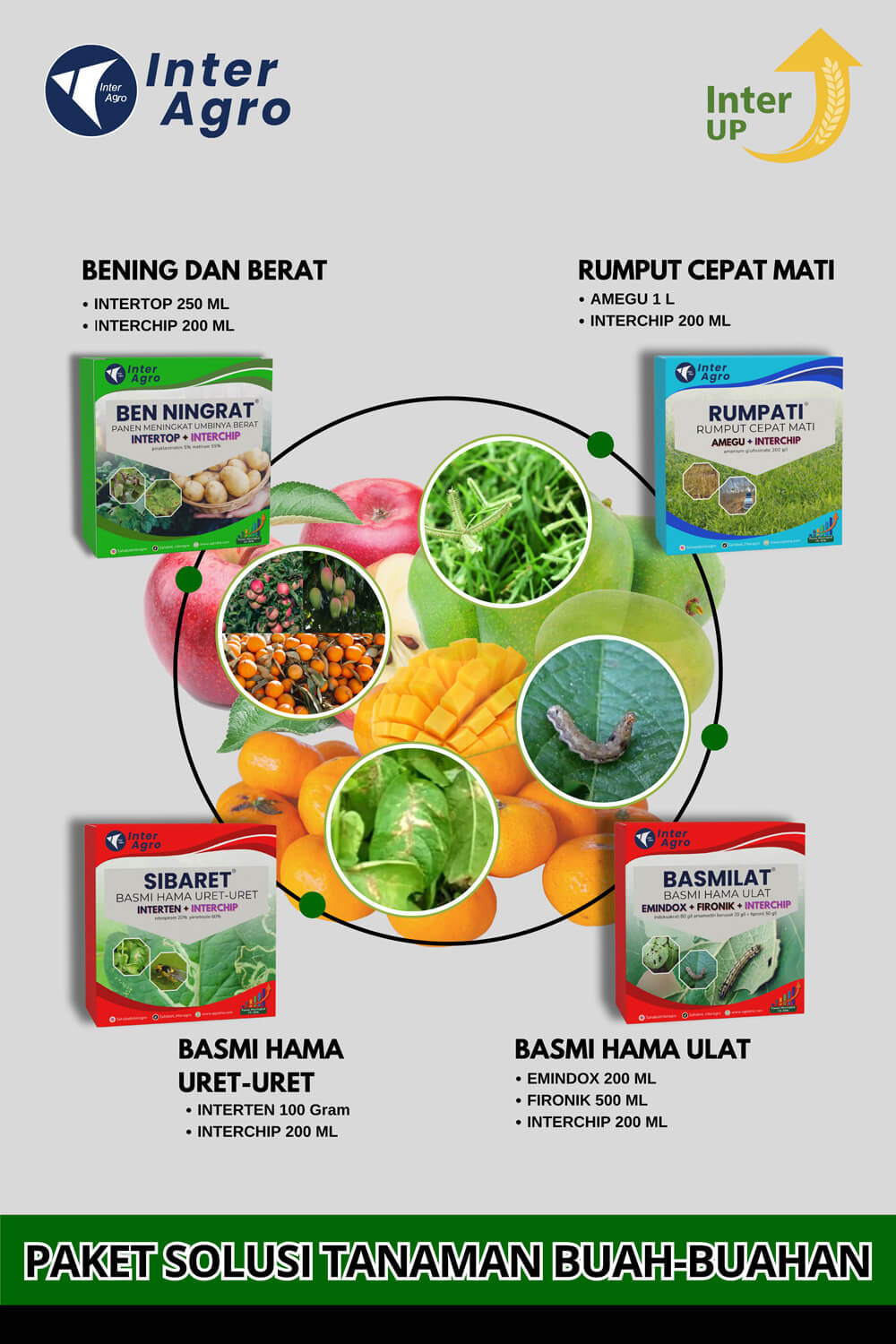 6. Mango Citrus Solution Cover