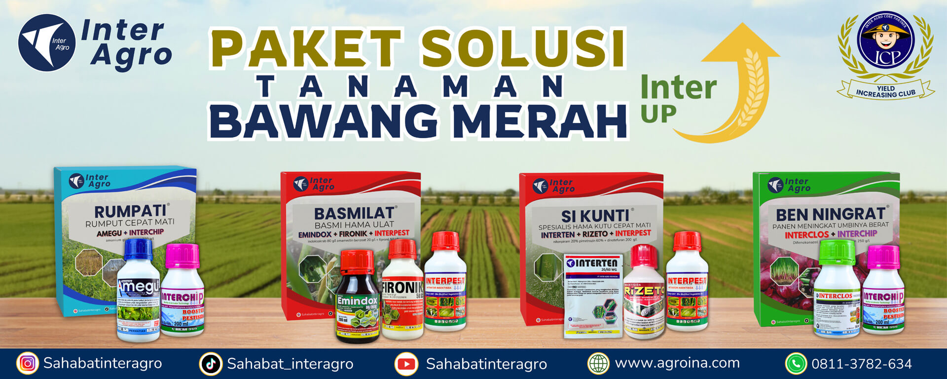 6. Shallot Bawang Merah