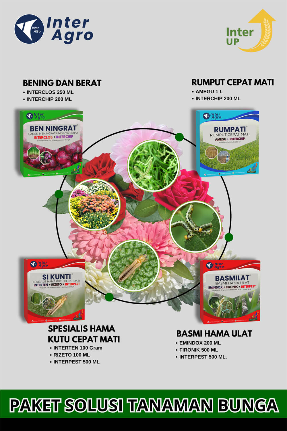 7. Flowers Crysan Solution Cover