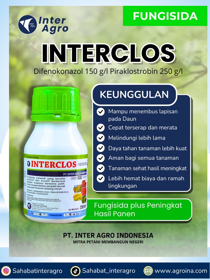 8. Interclos