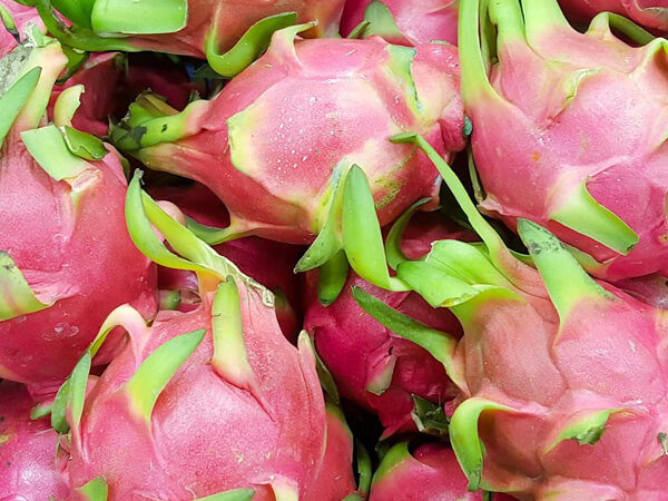 Dragon Fruit 600x450
