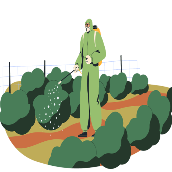 Image hover effect image