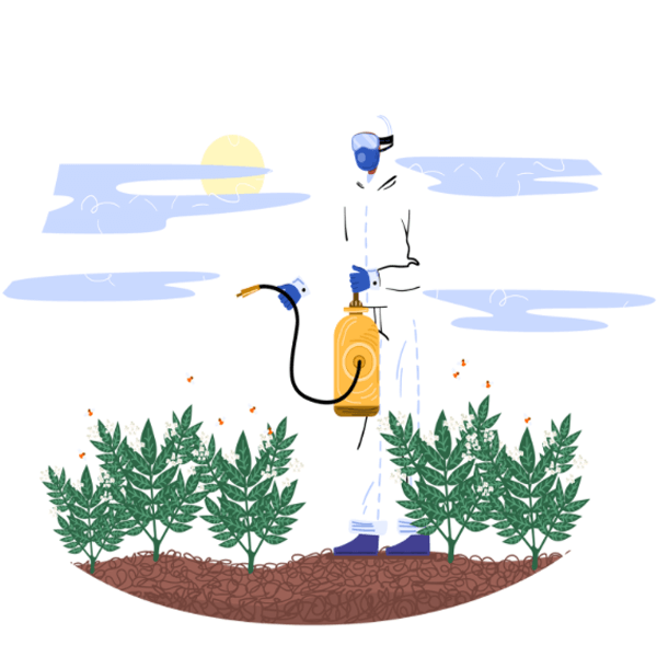 Image hover effect image