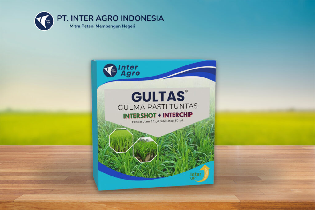 Rice Solution 2.0二级封面 副本