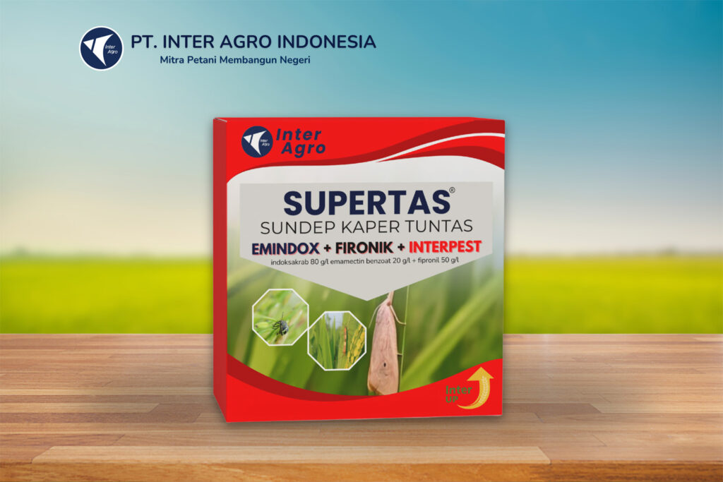 Rice Solution 3.0二级封面 副本