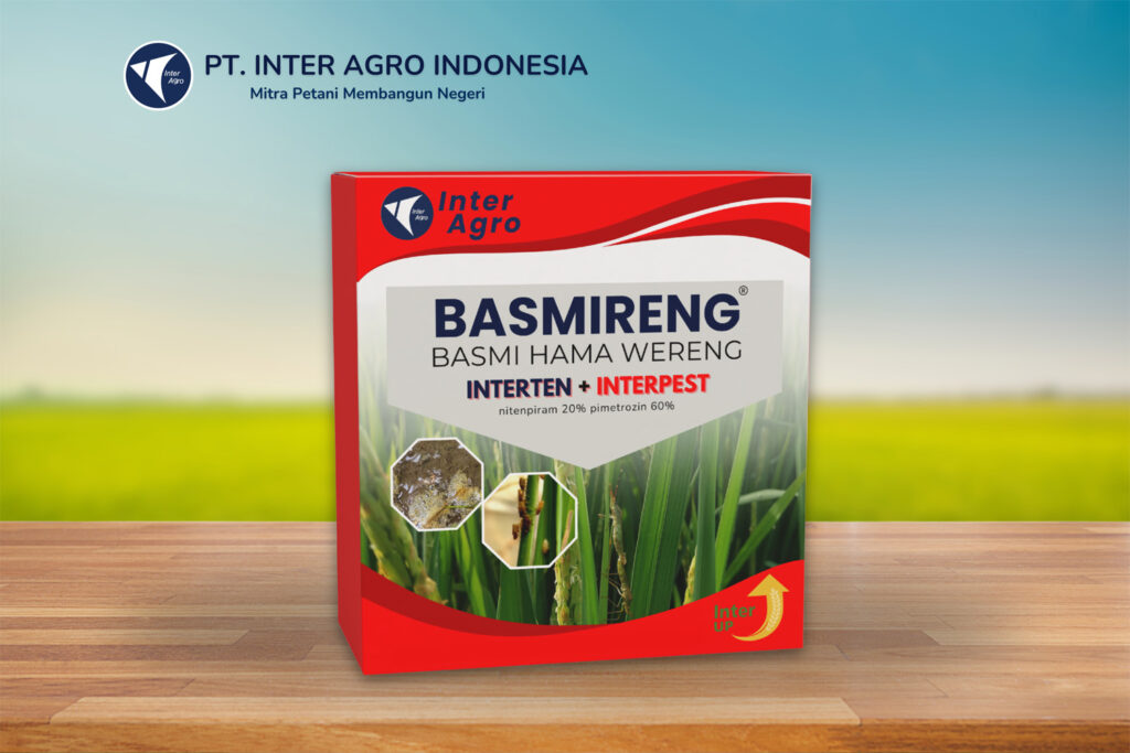 Rice Solution 4.0二级封面 副本