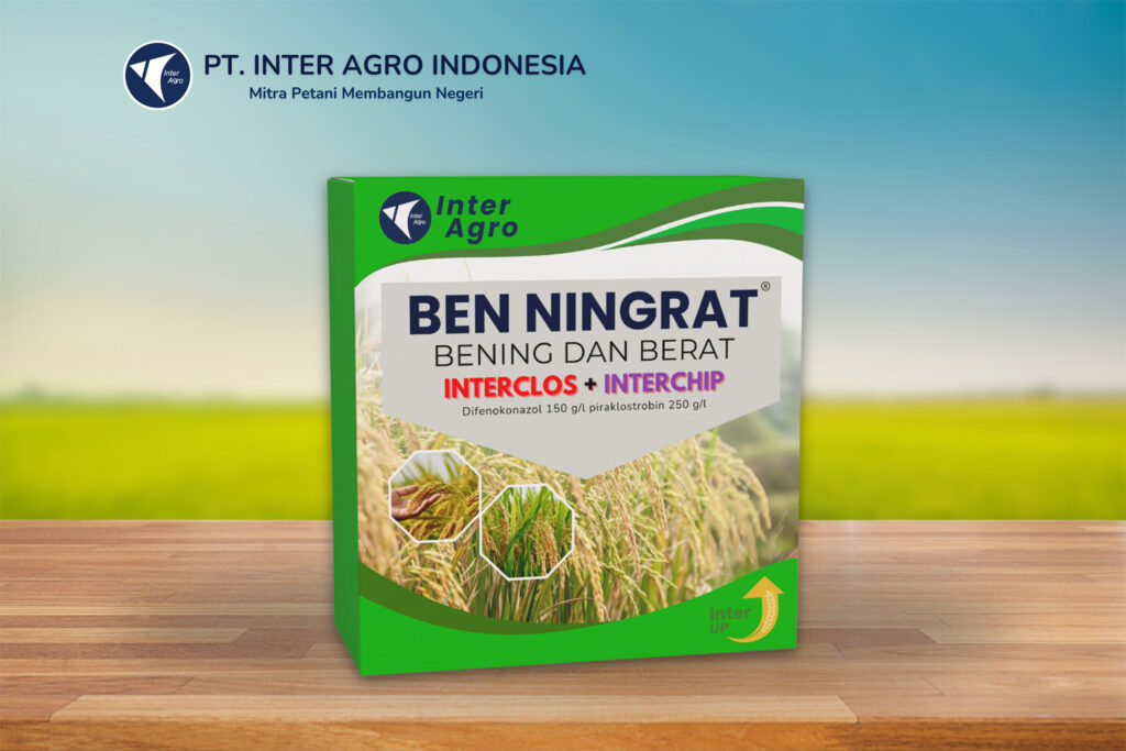 Rice Solution 5.0二级封面 副本