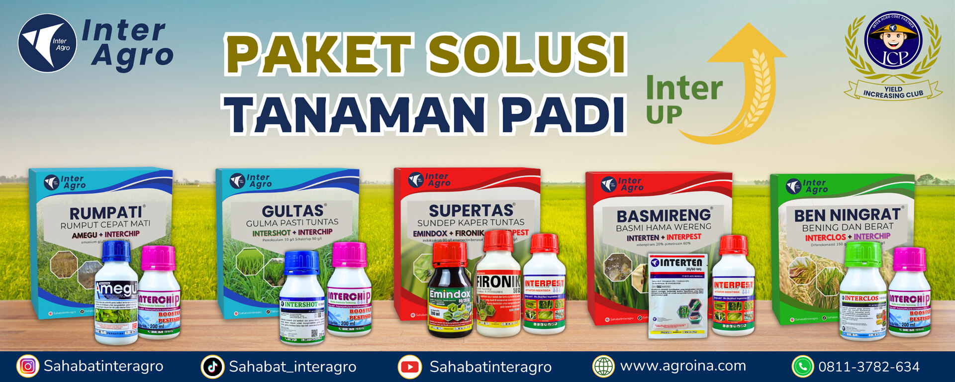 Rice Solution Banner